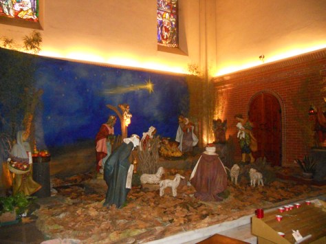 DSCN1881