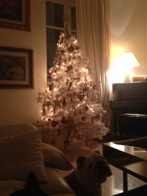photo1