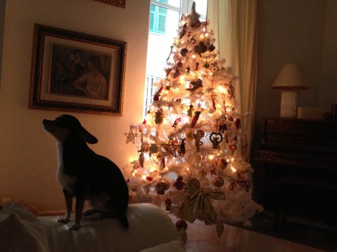 photo2