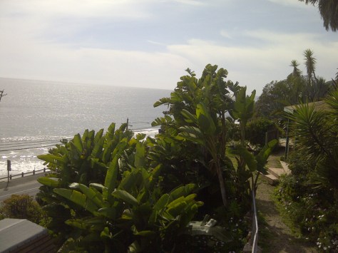 IMG-20110313-00035