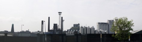 P1020313