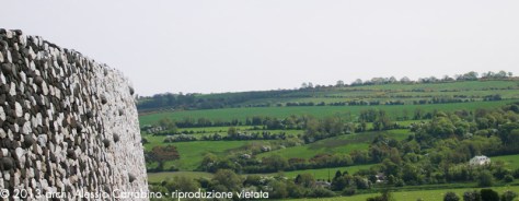 DSCN0149