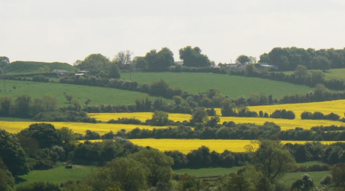 07.2 Dublino | Newgrange, Monasterboyce e la valle del Boyne