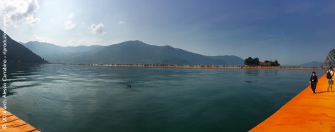 IMG_2561